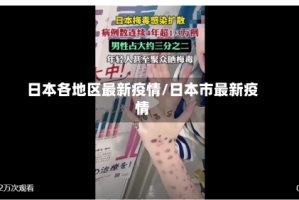 日本各地区最新疫情/日本市最新疫情