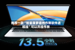 推荐一款“智星菠萝德州作弊软件透视挂”可以开挂作弊