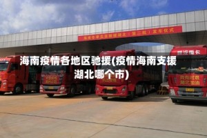 海南疫情各地区驰援(疫情海南支援湖北哪个市)