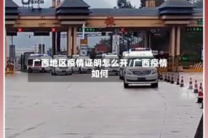 广西地区疫情证明怎么开/广西疫情如何