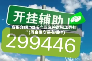 应用介绍“微乐广西麻将透视工具挂”(原来确实是有插件)
