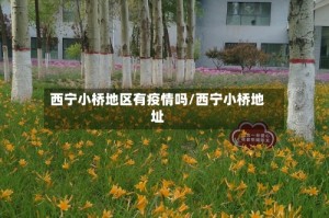 西宁小桥地区有疫情吗/西宁小桥地址