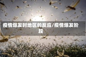疫情爆发时地区的反应/疫情爆发阶段