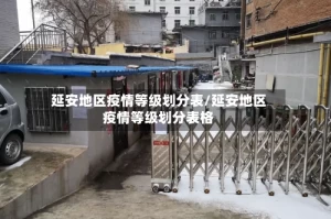 延安地区疫情等级划分表/延安地区疫情等级划分表格