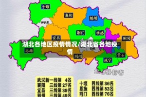 湖北各地区疫情情况/湖北省各地疫情