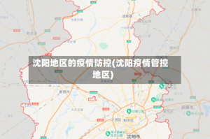 沈阳地区的疫情防控(沈阳疫情管控地区)