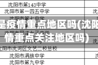 沈阳还是疫情重点地区吗(沈阳是疫情重点关注地区吗)