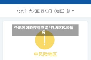 各地区风险疫情查询/各地区风险情况
