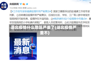 湖北疫情什么地区严重了(湖北疫情严重不)