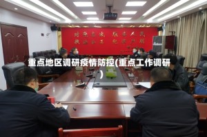 重点地区调研疫情防控(重点工作调研)