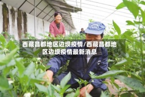 西藏昌都地区边坝疫情/西藏昌都地区边坝疫情最新消息