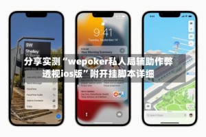 分享实测“wepoker私人局辅助作弊透视ios版”附开挂脚本详细