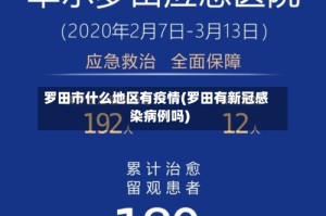 罗田市什么地区有疫情(罗田有新冠感染病例吗)