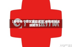 【疫情各个地区援助武汉,疫情各地支援武汉】