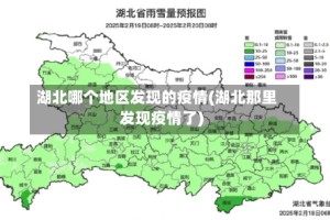 湖北哪个地区发现的疫情(湖北那里发现疫情了)