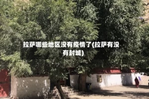 拉萨哪些地区没有疫情了(拉萨有没有封城)