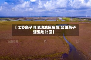 【江苏条子泥湿地地区疫情,盐城条子泥湿地公园】