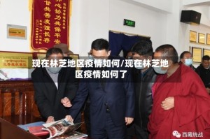现在林芝地区疫情如何/现在林芝地区疫情如何了