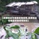 【锦屏地区在哪里报备疫情,锦屏地区在哪里报备疫情防控】