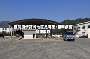 西畴疫情高峰地区是哪里/西畴疫情最新消息