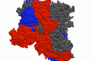 疫情地区动态图最新(疫情地图动态图)