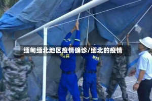 缅甸缅北地区疫情确诊/缅北的疫情