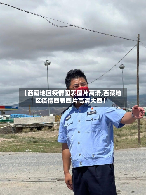 【西藏地区疫情图表图片高清,西藏地区疫情图表图片高清大图】-第3张图片