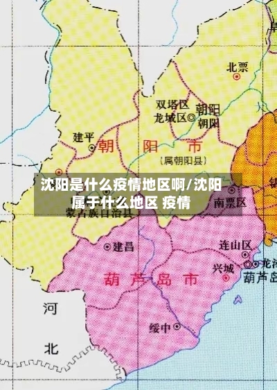 沈阳是什么疫情地区啊/沈阳属于什么地区 疫情-第1张图片
