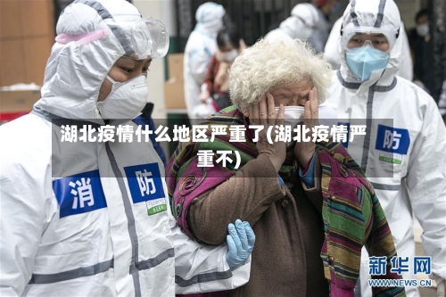 湖北疫情什么地区严重了(湖北疫情严重不)-第2张图片