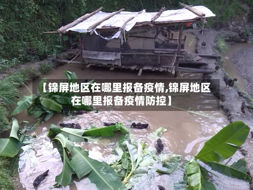 【锦屏地区在哪里报备疫情,锦屏地区在哪里报备疫情防控】-第1张图片