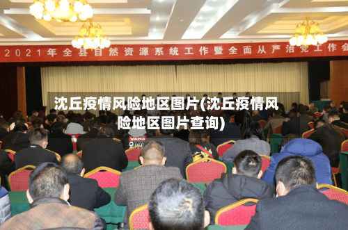 沈丘疫情风险地区图片(沈丘疫情风险地区图片查询)-第1张图片