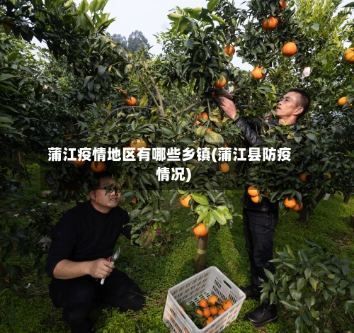 蒲江疫情地区有哪些乡镇(蒲江县防疫情况)-第2张图片