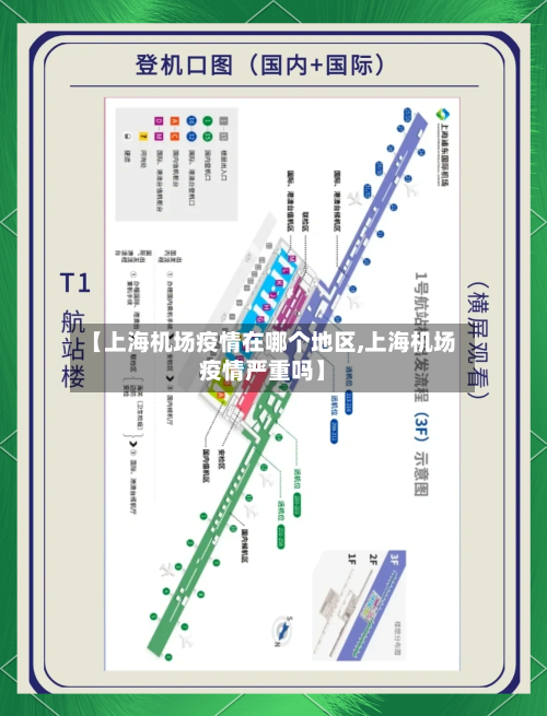 【上海机场疫情在哪个地区,上海机场疫情严重吗】-第1张图片