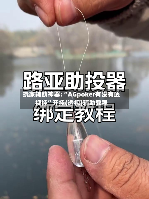 玩家辅助神器:“AGpoker有没有透视挂”开挂(透视)辅助教程-第2张图片
