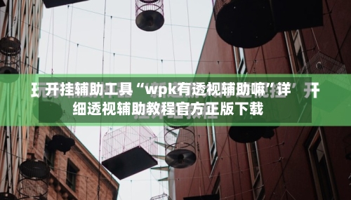 开挂辅助工具“wpk有透视辅助嘛”详细透视辅助教程官方正版下载-第1张图片