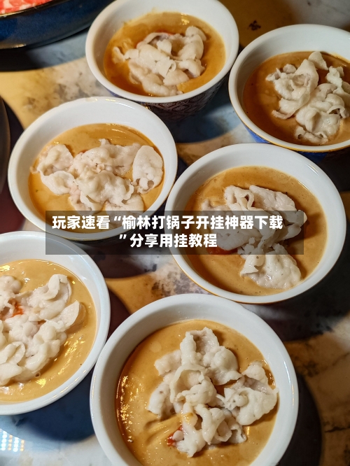 玩家速看“榆林打锅子开挂神器下载”分享用挂教程-第2张图片