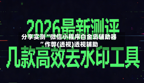 分享实测“微信小程序白金岛辅助器”作弊(透视)透视辅助-第2张图片