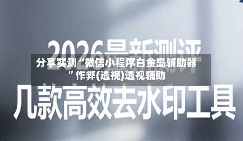 分享实测“微信小程序白金岛辅助器	”作弊(透视)透视辅助-第1张图片