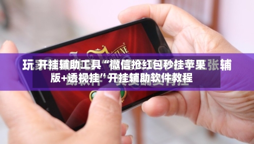 开挂辅助工具“微信抢红包秒挂苹果版+透视挂	”开挂辅助软件教程-第2张图片