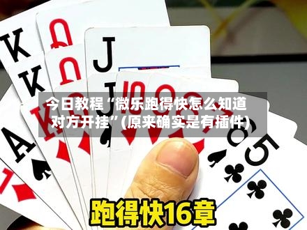 今日教程“微乐跑得快怎么知道对方开挂”(原来确实是有插件)-第2张图片