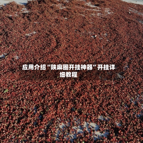 应用介绍“陕麻圈开挂神器”开挂详细教程-第1张图片