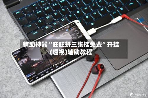 辅助神器“旺旺拼三张挂免费”开挂(透视)辅助教程-第2张图片