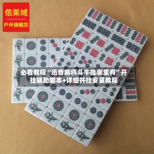 必看教程“迅奇麻将斗牛挂哪里有”开挂辅助脚本+详细开挂安装教程-第1张图片