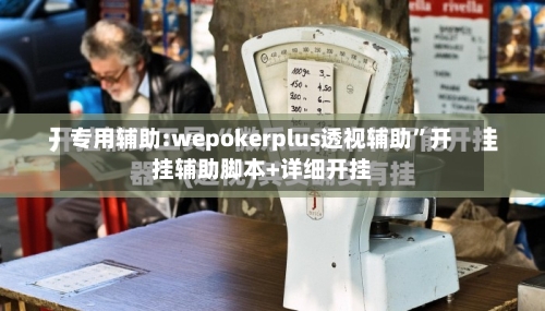 专用辅助:wepokerplus透视辅助”开挂辅助脚本+详细开挂-第2张图片