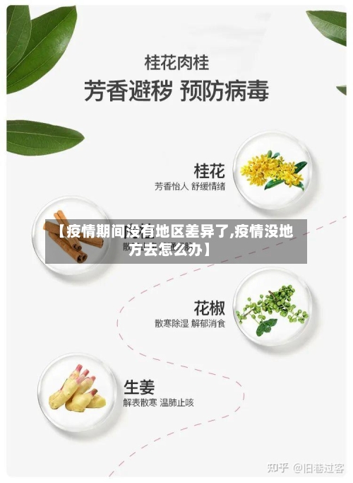 【疫情期间没有地区差异了,疫情没地方去怎么办】-第1张图片