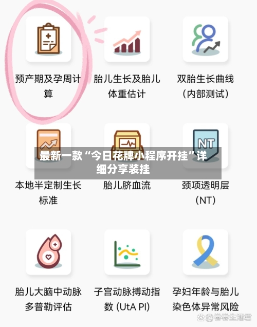 最新一款“今日花牌小程序开挂”详细分享装挂-第2张图片