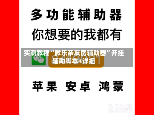 实测教程“微乐亲友房辅助器”开挂辅助脚本+详细-第3张图片