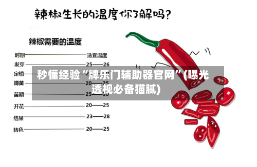 秒懂经验“牌乐门辅助器官网”(曝光透视必备猫腻)-第3张图片
