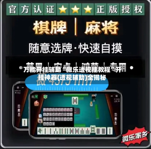 万能开挂辅助“微乐透视挂教程	”开挂神器{透视辅助}全揭秘-第2张图片