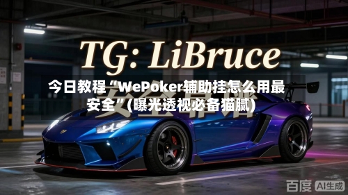 今日教程“WePoker辅助挂怎么用最安全”(曝光透视必备猫腻)-第1张图片
